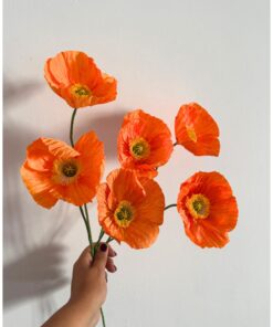 Amapolas de Islandia - Imagen 4