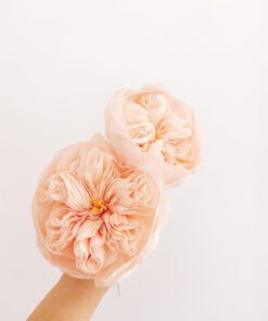 Papel crepe salmon para hacer flores de papel