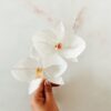 ORQUIDEAS DE PAPEL