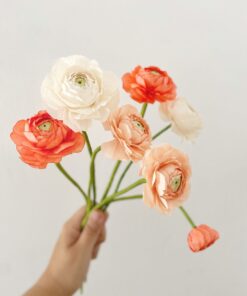 RANUNCULOS DE PAPEL