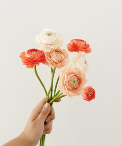 RANUNCULOS DE PAPEL