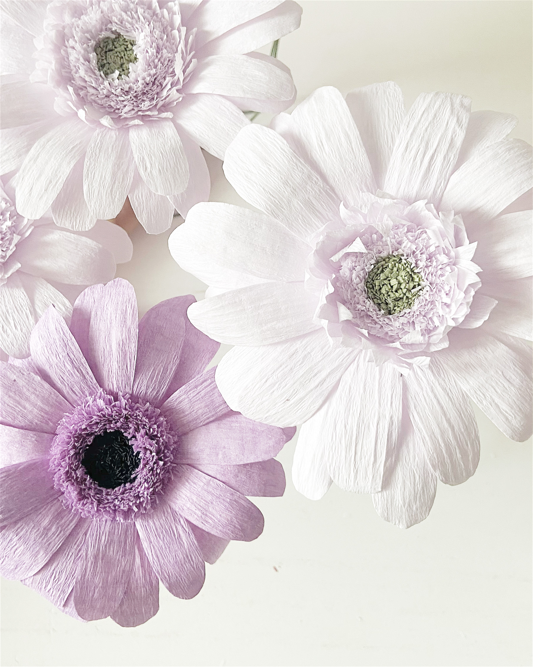 Gerberas de papel crepe
