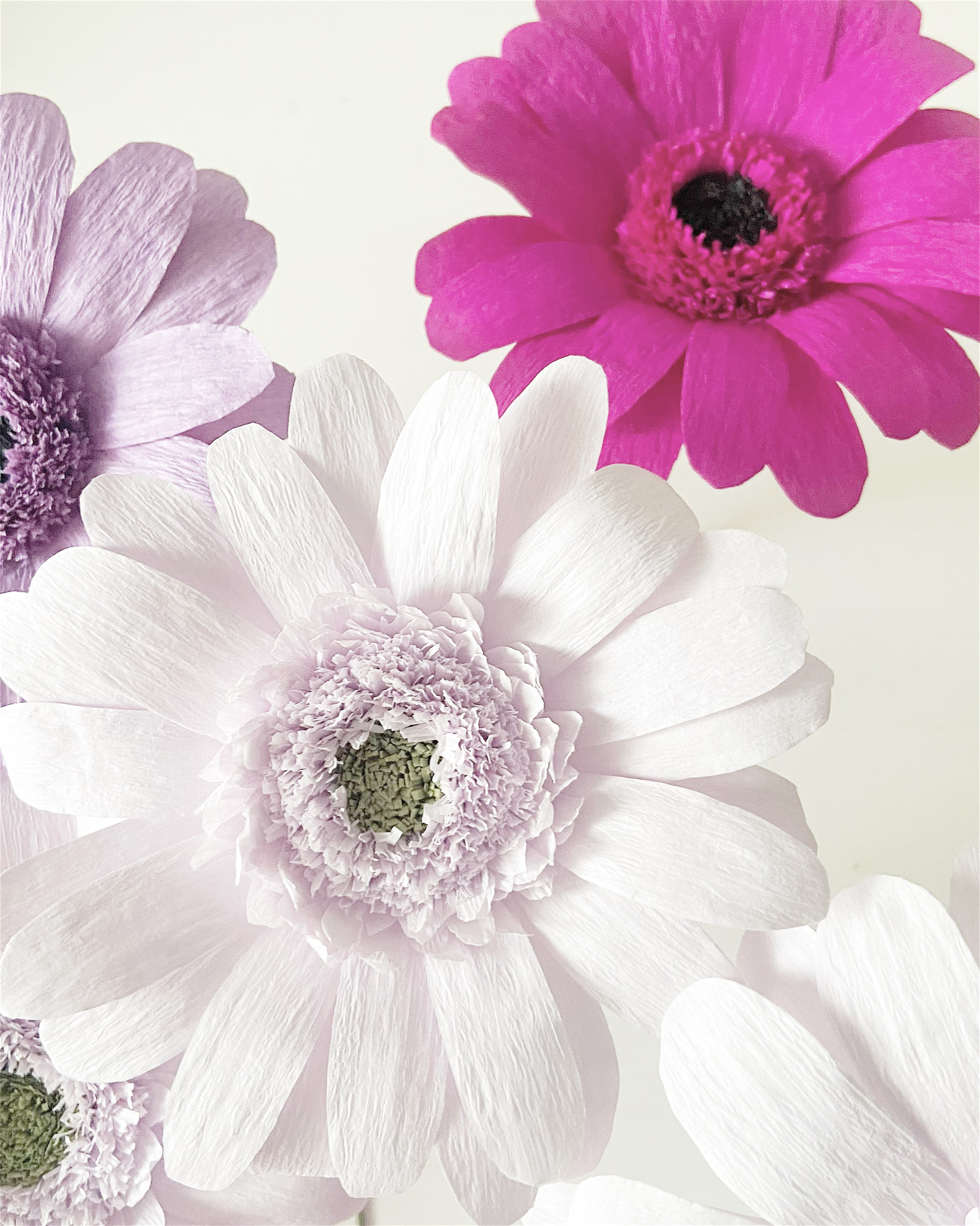 Gerberas de papel crepe
