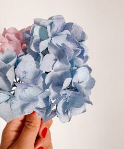 Hortensias de papel crepe