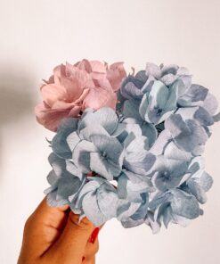 Hortensias de papel crepe