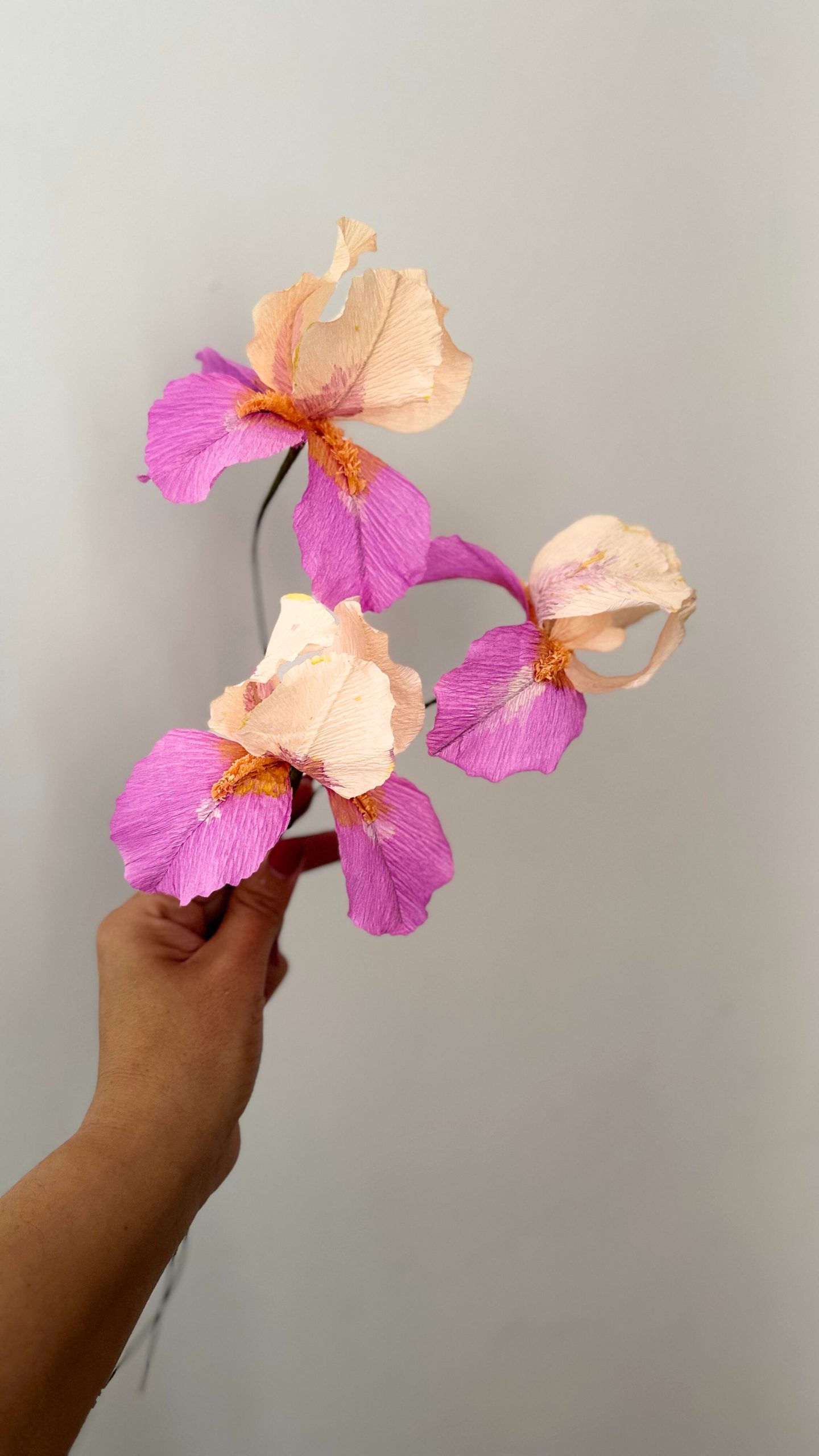 Iris de papel crepe