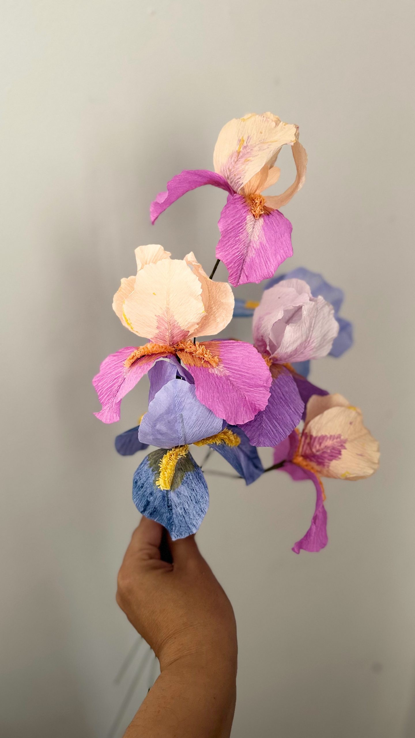 Iris de papel crepe