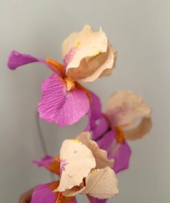 Iris de papel crepe