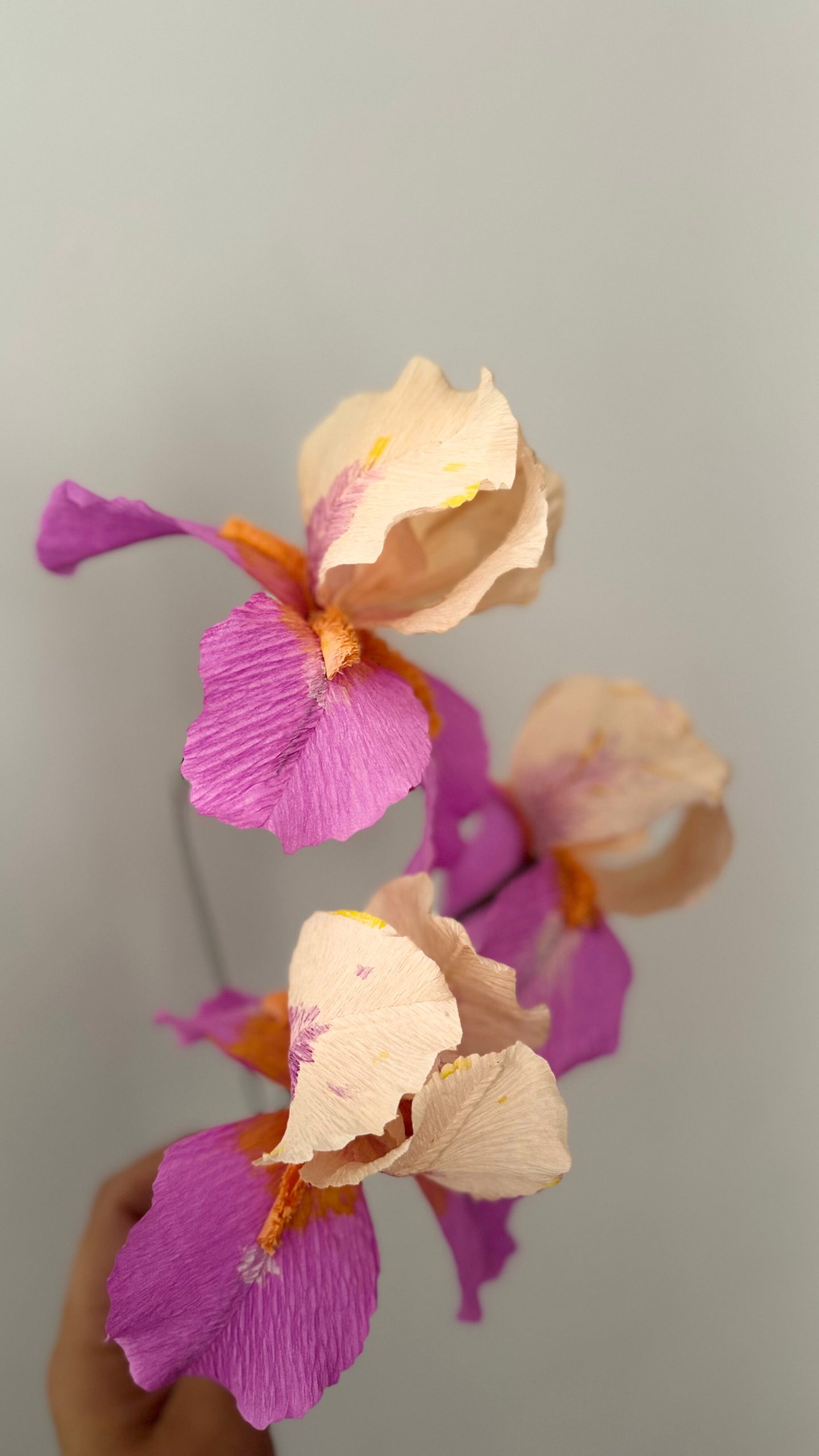 Iris de papel crepe