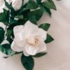 Gardenia de papel crepe