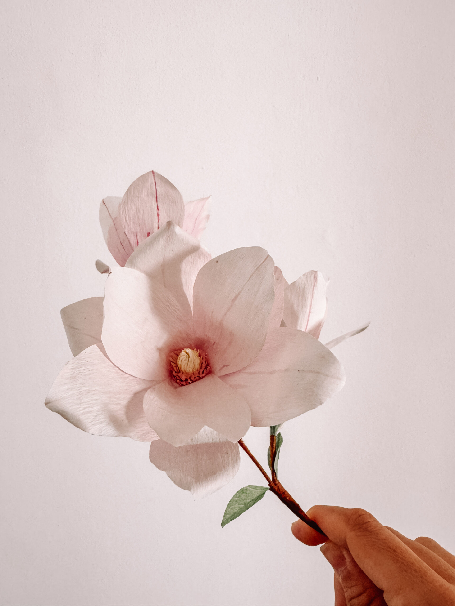 Magnolias de papel crepe