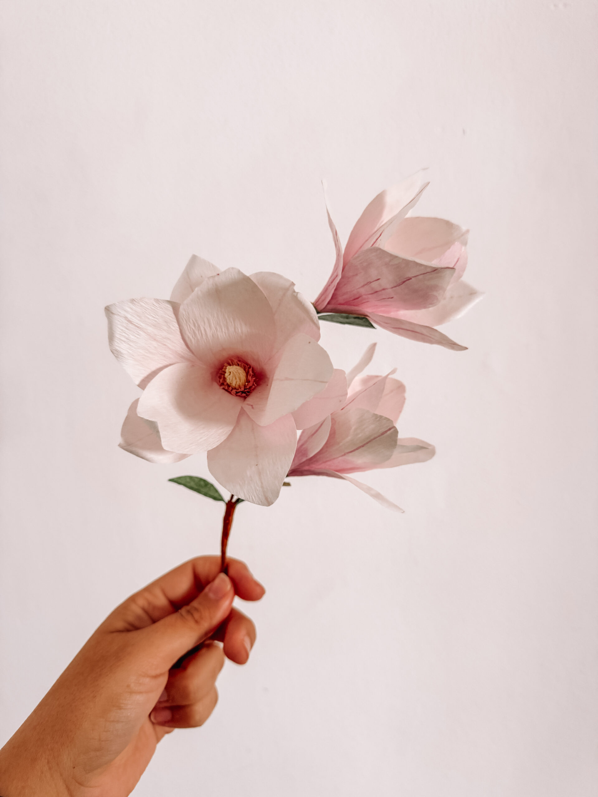 Magnolias de papel crepe