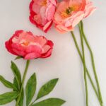 PEONIAS CORAL CHARM DE PAPEL