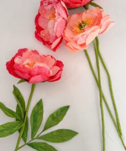 PEONIAS CORAL CHARM DE PAPEL