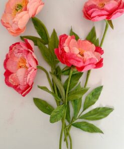 PEONIAS CORAL CHARM DE PAPEL