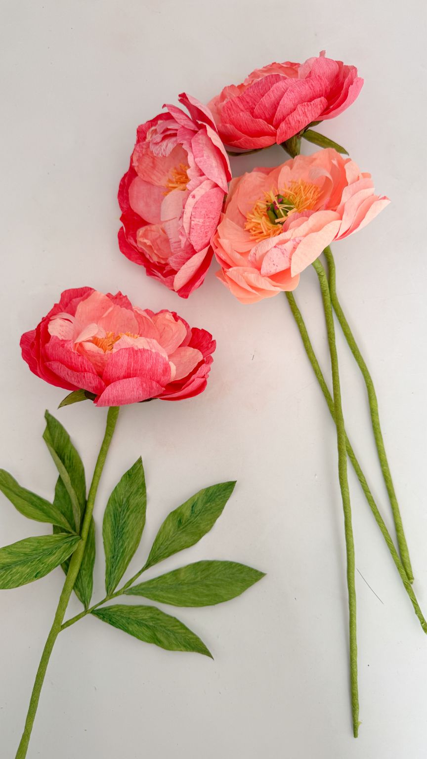 PEONIAS CORAL CHARM DE PAPEL