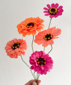 Zinnias - Imagen 3