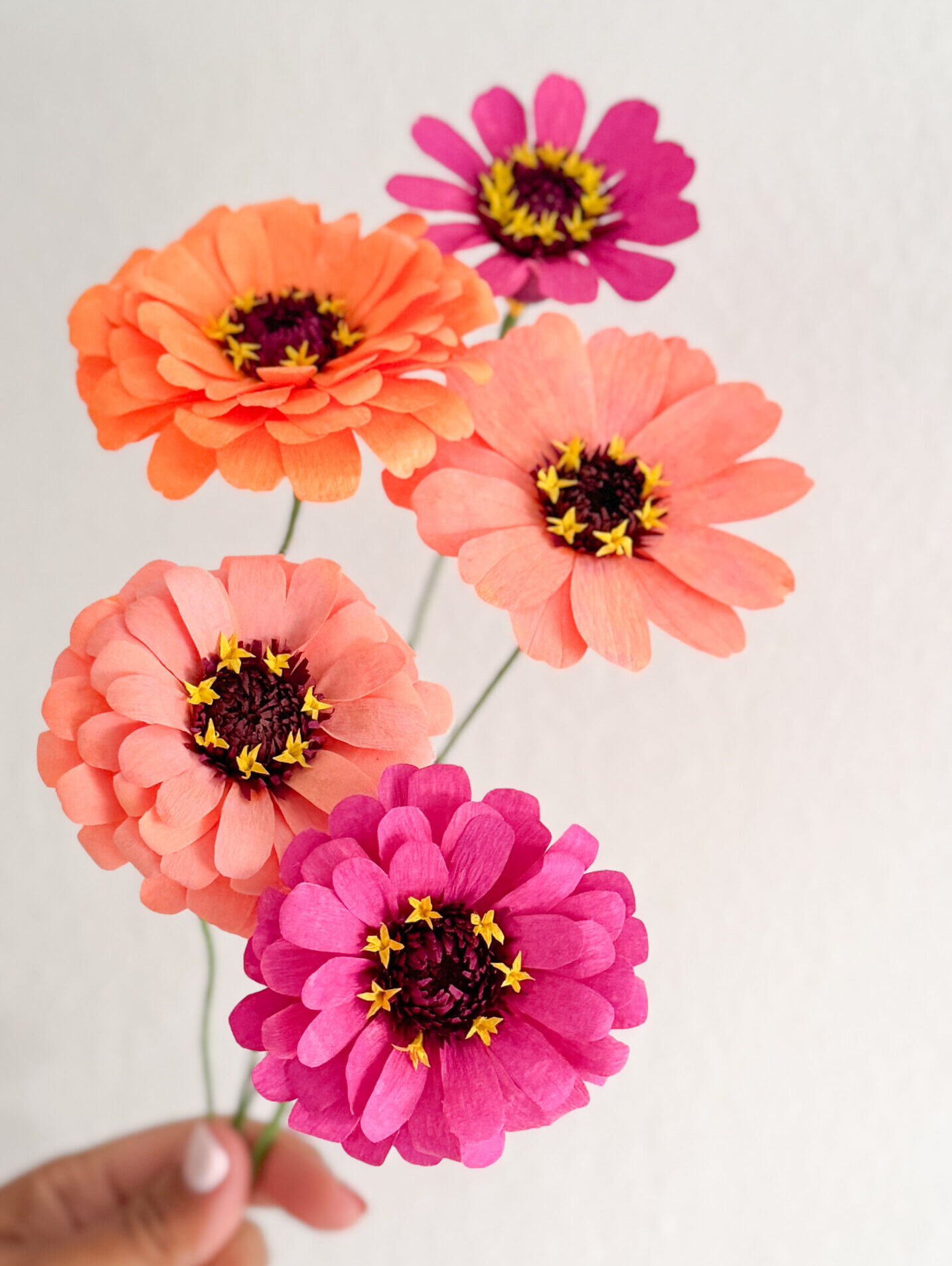 Zinnias de papel
