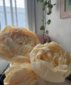PEONIA GIGANTE DE PAPEL