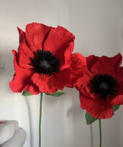 TALLER AMAPOLAS XXL