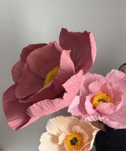 TALLER AMAPOLAS XXL