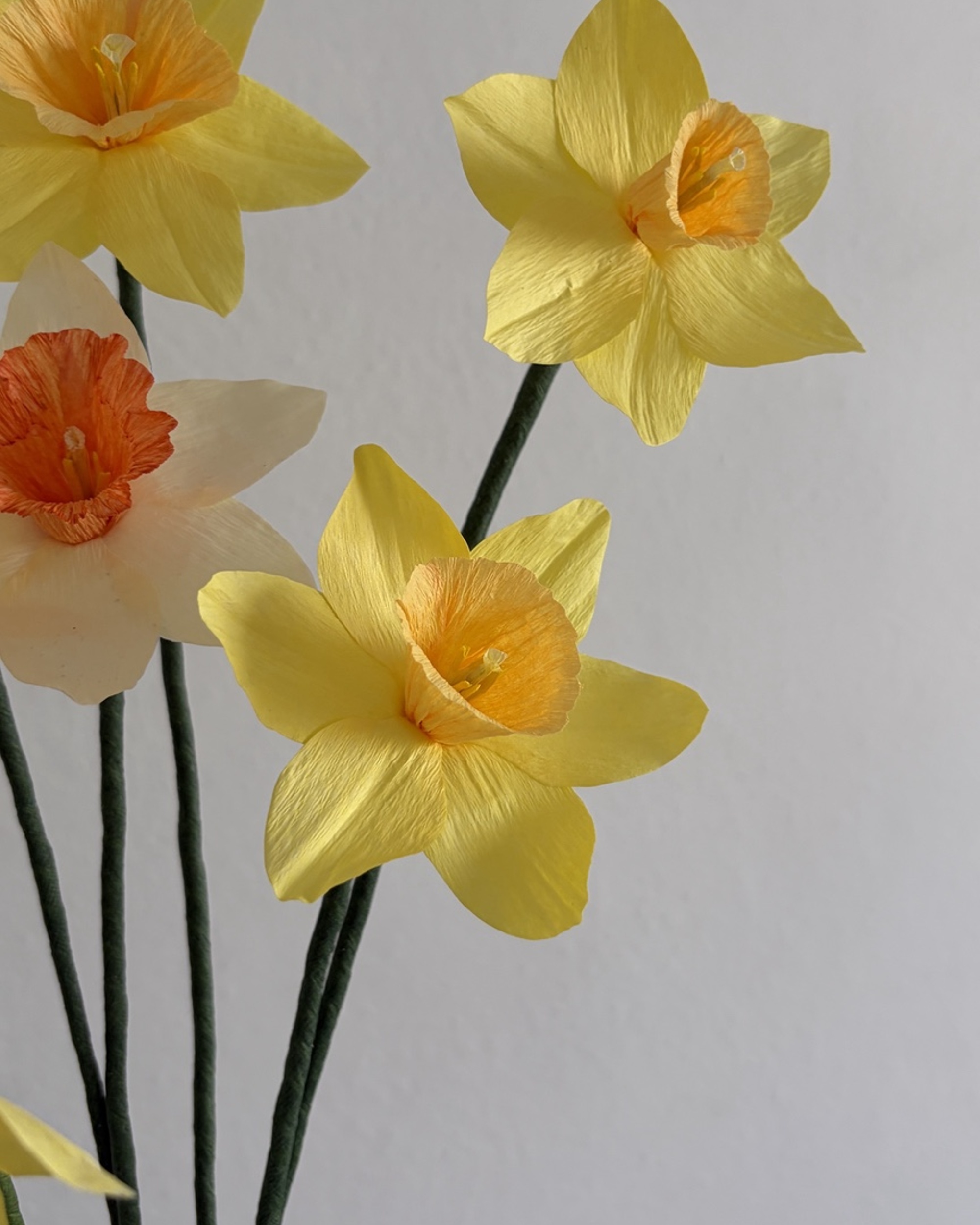 Primer plano de flores de papel tipo narciso con pétalos amarillos y centros naranjas