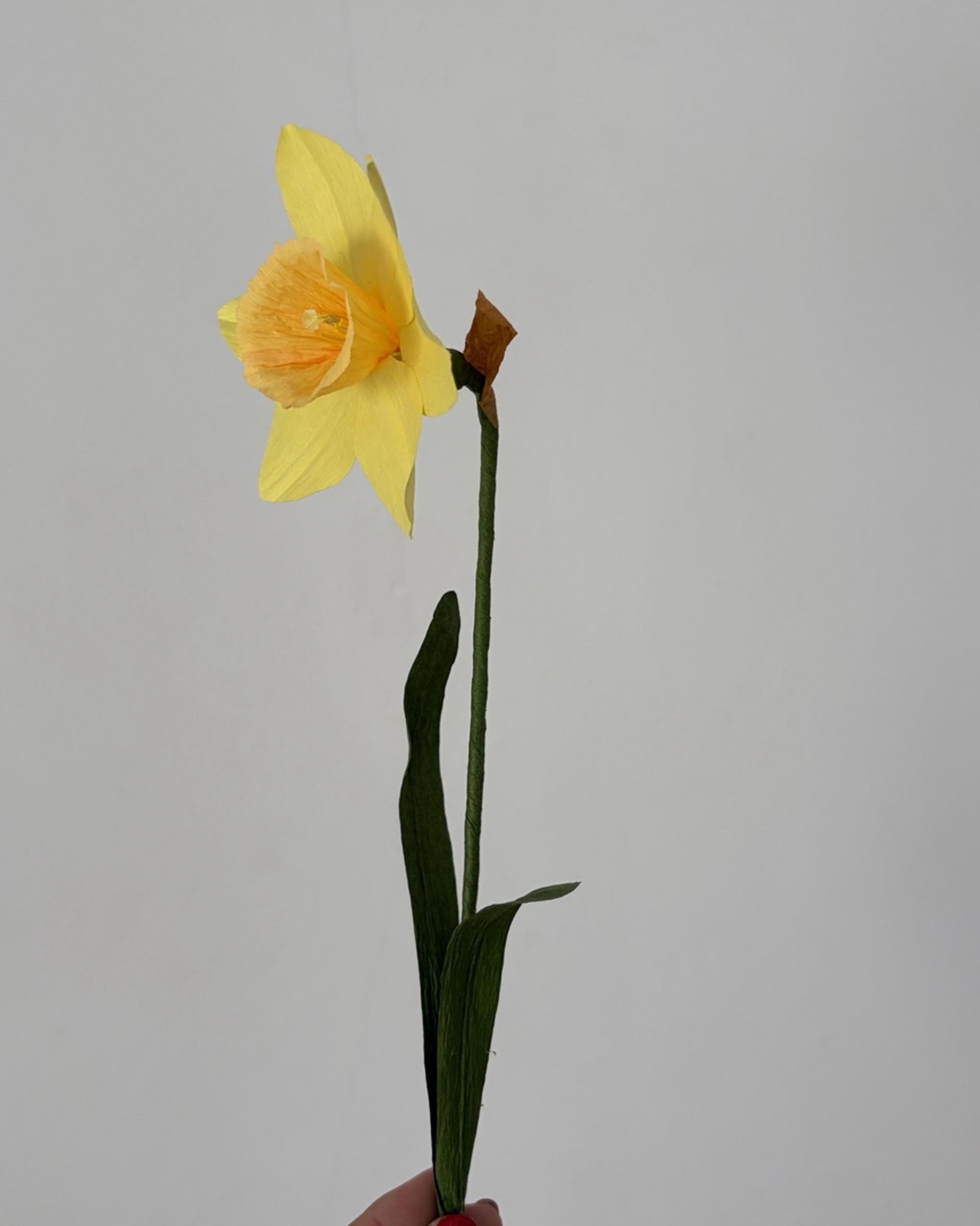 Narciso de papel amarillo con centro naranja sostenido en la mano