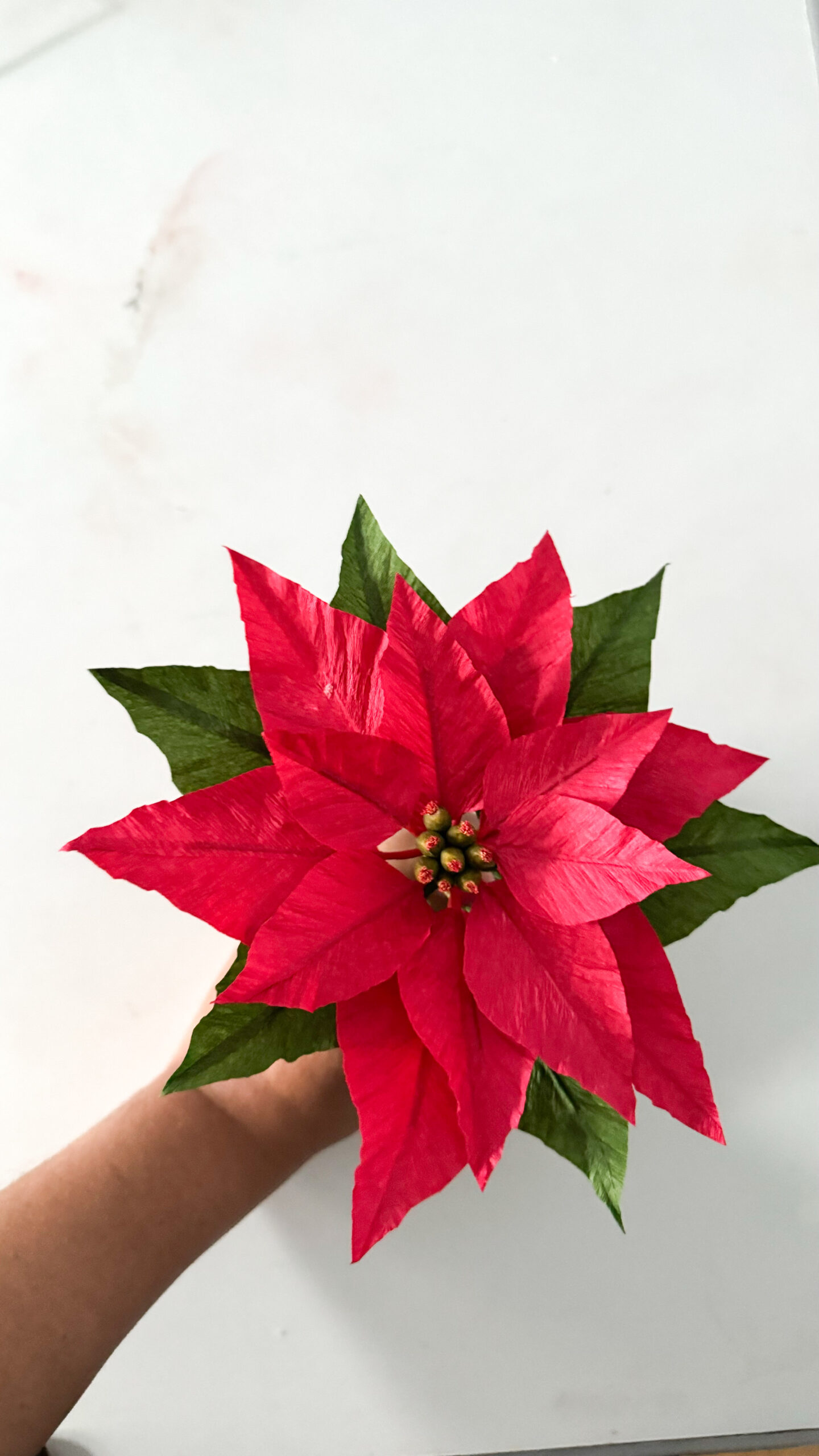Flor de Pascua roja de papel crepé sostenida con una mano, con hojas verdes y detalles del centro floral.