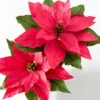 Dos Flores de Pascua rojas hechas a mano con papel crepé y hojas verdes sobre fondo blanco.