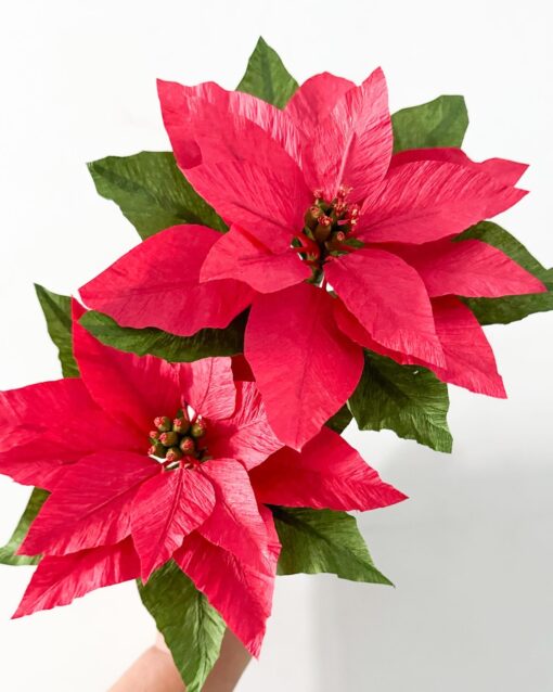 Dos Flores de Pascua rojas hechas a mano con papel crepé y hojas verdes sobre fondo blanco.